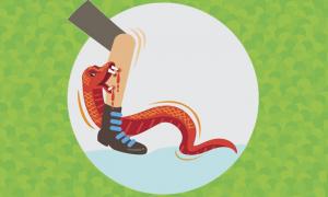 เตือนภัยหน้าฝน! งูพิษ 7 ชนิดคนไทยโดนกัดบ่อย-อันตรายถึงชีวิต