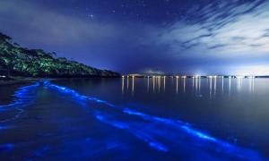 10 ชายหาดที่ขึ้นชื่อว่า ‘แปลกที่สุด‘ จากทั่วทุกมุมโลก