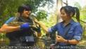 กบนอกกะลา - ดาราสัตว์ ตอน2 1/3
