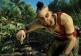 วีดีโอพรีวิว เกม Far Cry 3 เกาะนรกแดนใต้ภาคสาม