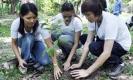 Reafforestation หมายถึง การปลูกต้นไม้ใหม่