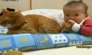 คลิปน่ารัก! เด็กจีนกินหางแมว แมวแสนรู้เปิดประตูให้หมา