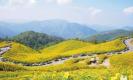 สะดุดตา 100 ภาพสวยอันซีนภาคเหนือ