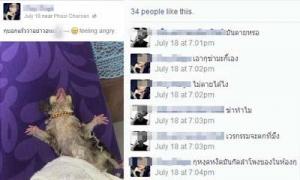 สะเทือนใจ! สาวหน้าตาดีฆ่าสัตว์เลี้ยง โพสต์ลงเฟซบุ๊ก